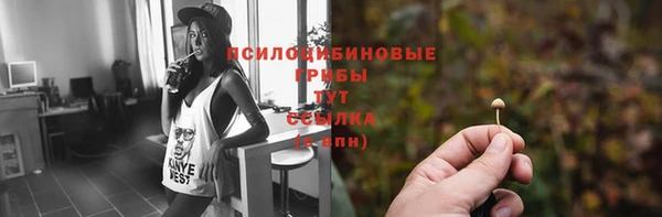 герыч Горняк