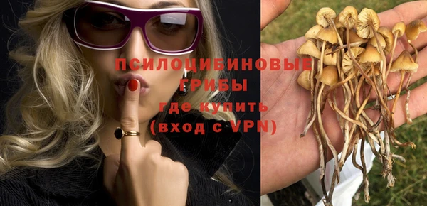спиды Горно-Алтайск