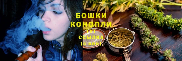 спиды Горно-Алтайск