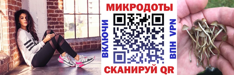 Купить закладки  Пестово  Галлюциногенные грибы Cubensis 